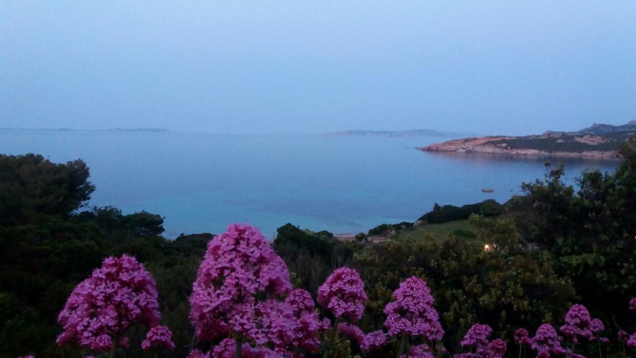 Appartamento Fronte Mare Santa Teresa Gallura Εξωτερικό φωτογραφία